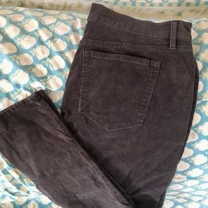 LOFT Modern Skinny Corduroy in Charcoal Grey